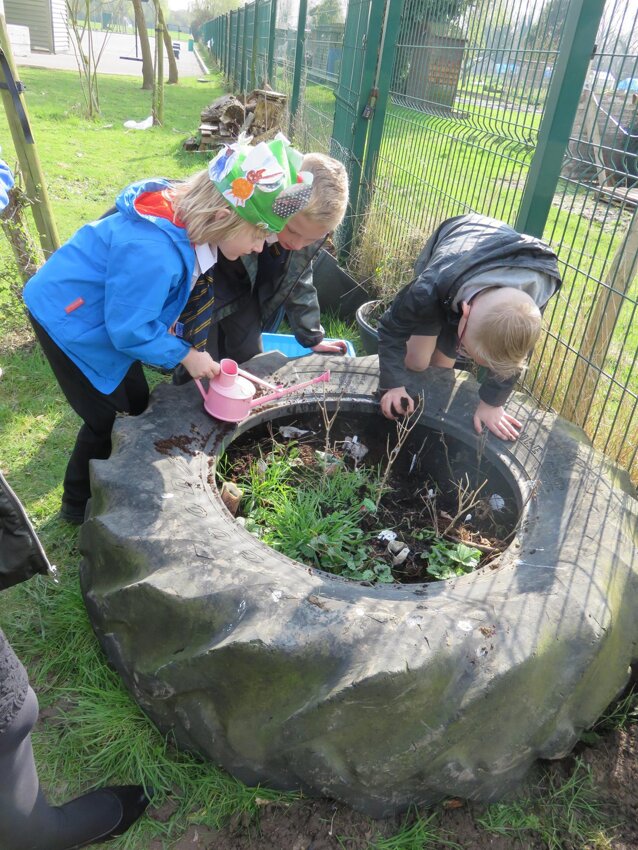 Image of Year 3 Plant a Garden