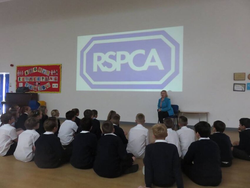 Image of RSPCA Visits Rye Primary