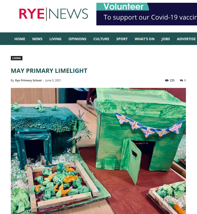 Image of Rye News - May Primary Limelight