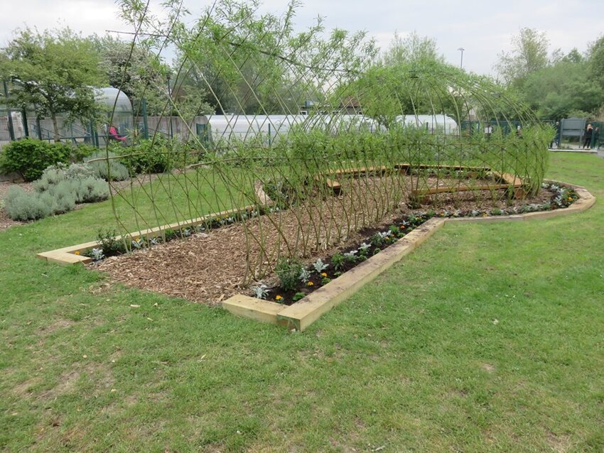 Image of Our new Willow Garden